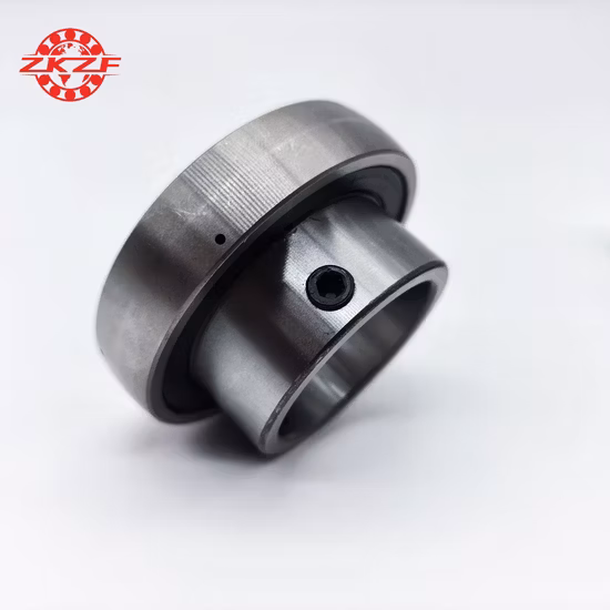 Fornitore principale della Cina per cuscinetti personalizzati in acciaio inossidabile con cuscinetti non standard